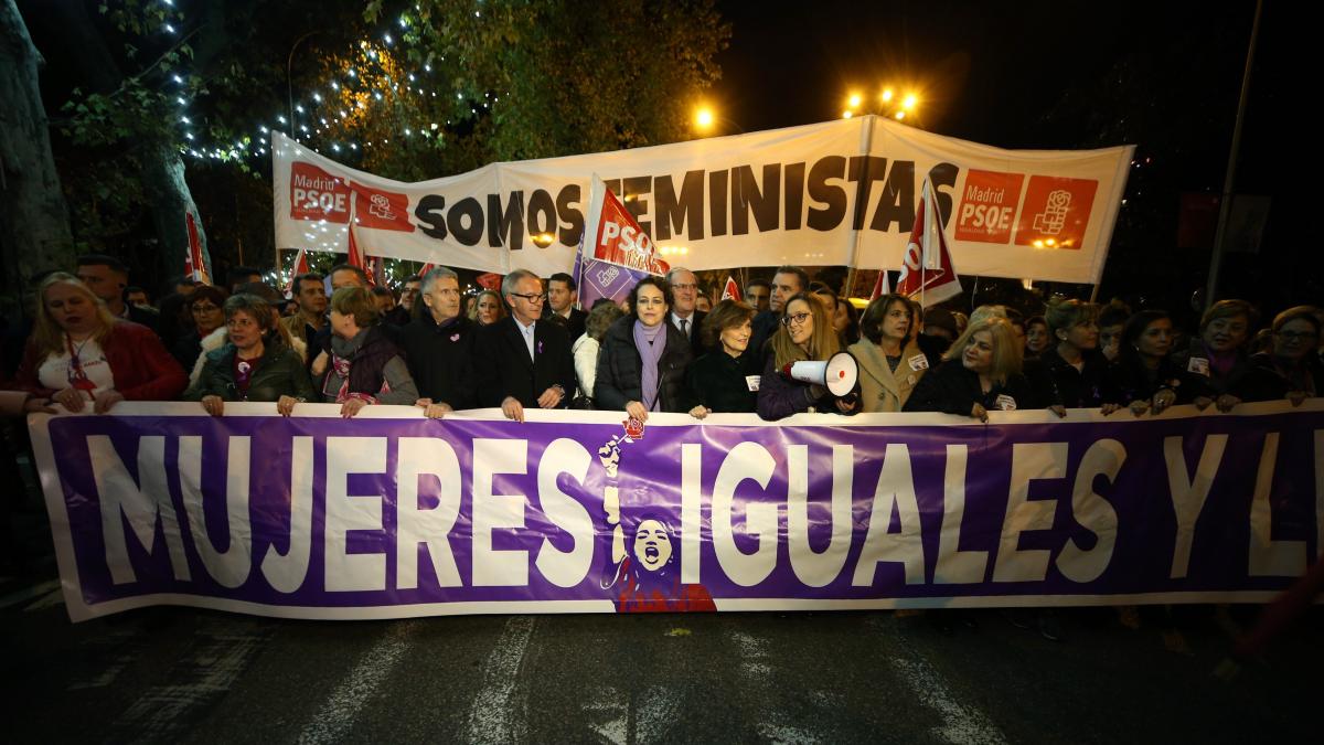 Manifestación con motivo del Día Internacional de la Eliminación de la Violencia contra la Mujer en Madrid.